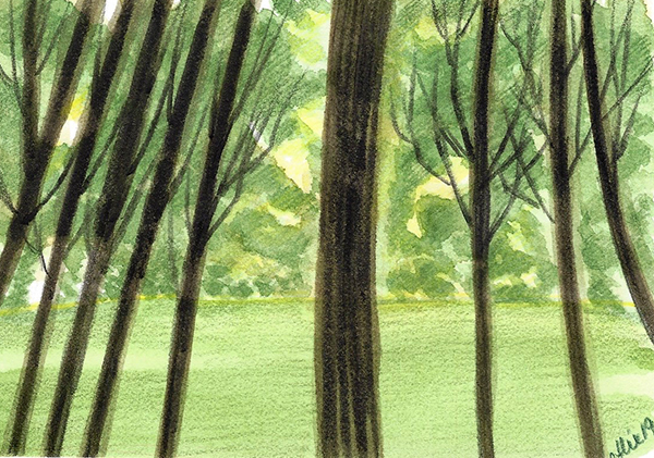 Forêt européenne destinée au papier. Peinte à l'aquarelle.